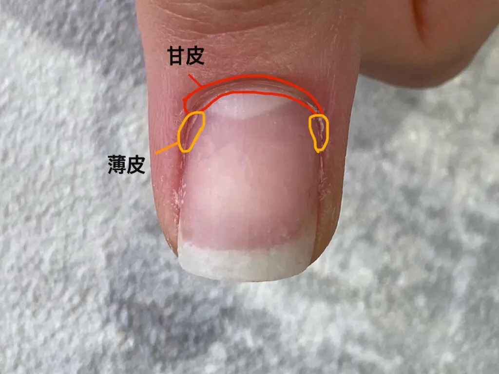 爪の甘皮処理のやり方を解説！セルフネイルのケアで行うときの手順は