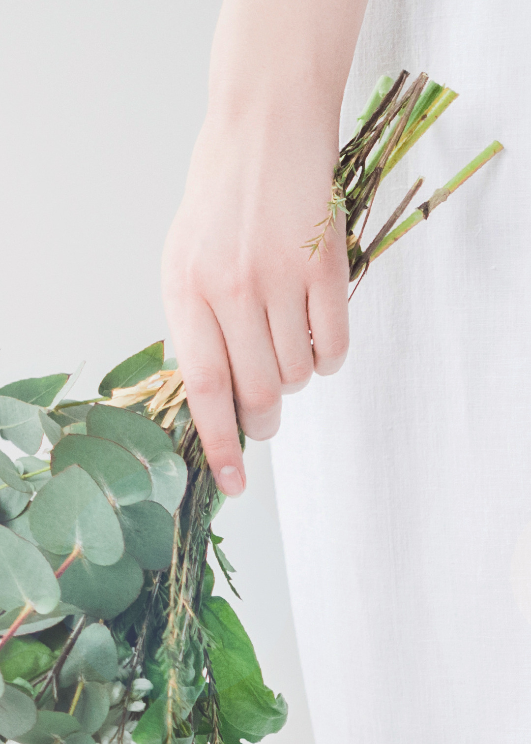 植物を持つ手元のイメージ